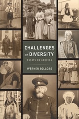 cover of Challenges of Diversity: Essays on America