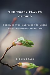 cover of WOODY PLANTS OF OHIO: Trees, Shrubs, and Woody Climbers: Native, Naturalized, and Escaped