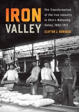 cover of Iron Valley: The Transformation of the Iron Industry in Ohio's Mahoning Valley, 1802–1913