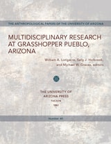 cover of Multidisciplinary Research at Grasshopper Pueblo, Arizona