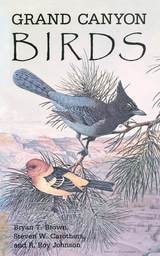cover of Grand Canyon Birds: Historical Notes, Natural History and Ecology