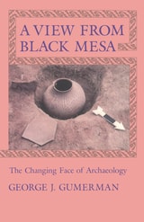 cover of A View From Black Mesa: The Changing Face of Archaeology