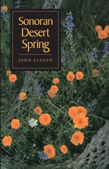 cover of Sonoran Desert Spring