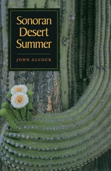 cover of Sonoran Desert Summer