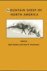 cover of Mountain Sheep of North America