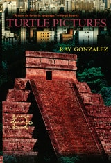 cover of Turtle Pictures