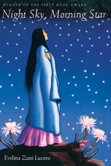 cover of Night Sky, Morning Star