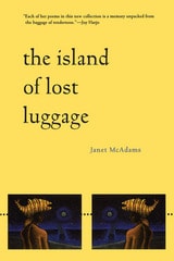 cover of The Island of Lost Luggage