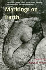 cover of Markings on Earth