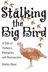 cover of Stalking the Big Bird: A Tale of Turkeys, Biologists, and Bureaucrats