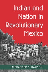 cover of Indian and Nation in Revolutionary Mexico