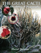 cover of The Great Cacti: Ethnobotany and Biogeography