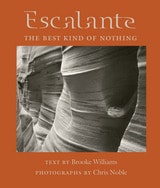 cover of Escalante: The Best Kind of Nothing