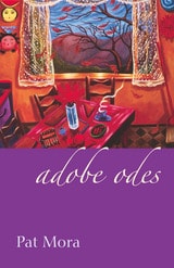 cover of Adobe Odes