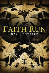 cover of Faith Run