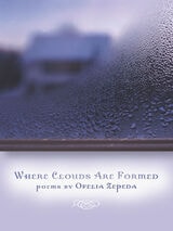 cover of Where Clouds Are Formed