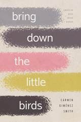 cover of Bring Down the Little Birds: On Mothering, Art, Work, and Everything Else
