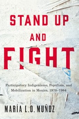cover of Stand Up and Fight: Participatory Indigenismo, Populism, and Mobilization in Mexico, 1970–1984