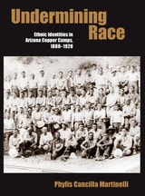cover of Undermining Race: Ethnic Identities in Arizona Copper Camps, 1880–1920