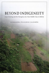 cover of Beyond Indigeneity: Coca Growing and the Emergence of a New Middle Class in Bolivia