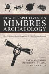 cover of New Perspectives on Mimbres Archaeology: Three Millennia of Human Occupation in the North American Southwest