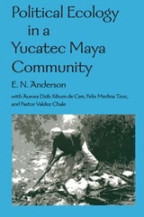 cover of Political Ecology in a Yucatec Maya Community