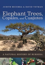 cover of Elephant Trees, Copales, and Cuajiotes: A Natural History of Bursera