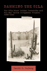 cover of Damming the Gila: The Gila River Indian Community and the San Carlos Irrigation Project, 1900–1942