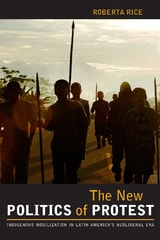 cover of The New Politics of Protest: Indigenous Mobilization in Latin America's Neoliberal Era