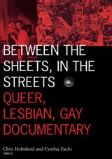 cover of Between the Sheets, in the Streets: Queer, Lesbian, Gay Documentary