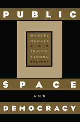 cover of Public Space And Democracy