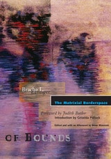 cover of The Matrixial Borderspace