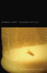 cover of Atomic Light (Shadow Optics)