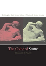 cover of The Color of Stone: Sculpting the Black Female Subject in Nineteenth-Century America