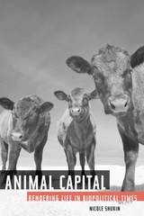 cover of Animal Capital: Rendering Life in Biopolitical Times