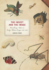 cover of The Insect and the Image: Visualizing Nature in Early Modern Europe, 1500-1700