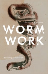 cover of Worm Work: Recasting Romanticism