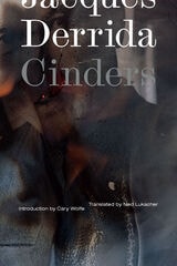 cover of Cinders
