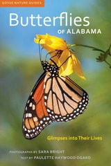 cover of Butterflies of Alabama: Glimpses into Their Lives