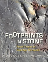 cover of Footprints in Stone: Fossil Traces of Coal-Age Tetrapods