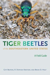 cover of Tiger Beetles of the Southeastern United States: A Field Guide