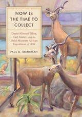 cover of Now Is the Time to Collect: Daniel Giraud Elliot, Carl Akeley, and the Field Museum African Expedition of 1896