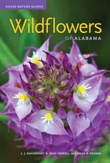 cover of Wildflowers of Alabama
