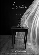 cover of Larks: Poems