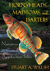 cover of Hornyheads, Madtoms, and Darters: Narratives on Central Appalachian Fishes