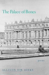 cover of The Palace of Bones