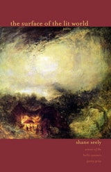 cover of The Surface of the Lit World: Poems