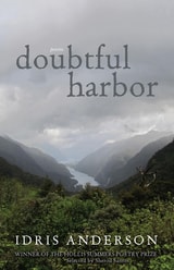 cover of Doubtful Harbor: Poems