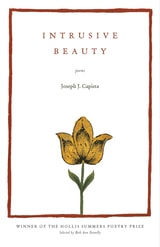cover of Intrusive Beauty: Poems
