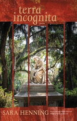 cover of Terra Incognita: Poems